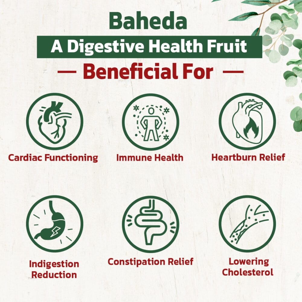 Baheda Powder Benefits | Best Ayurvedic Company