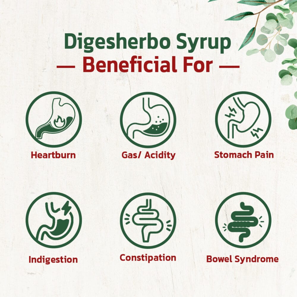 syrup for digestion
