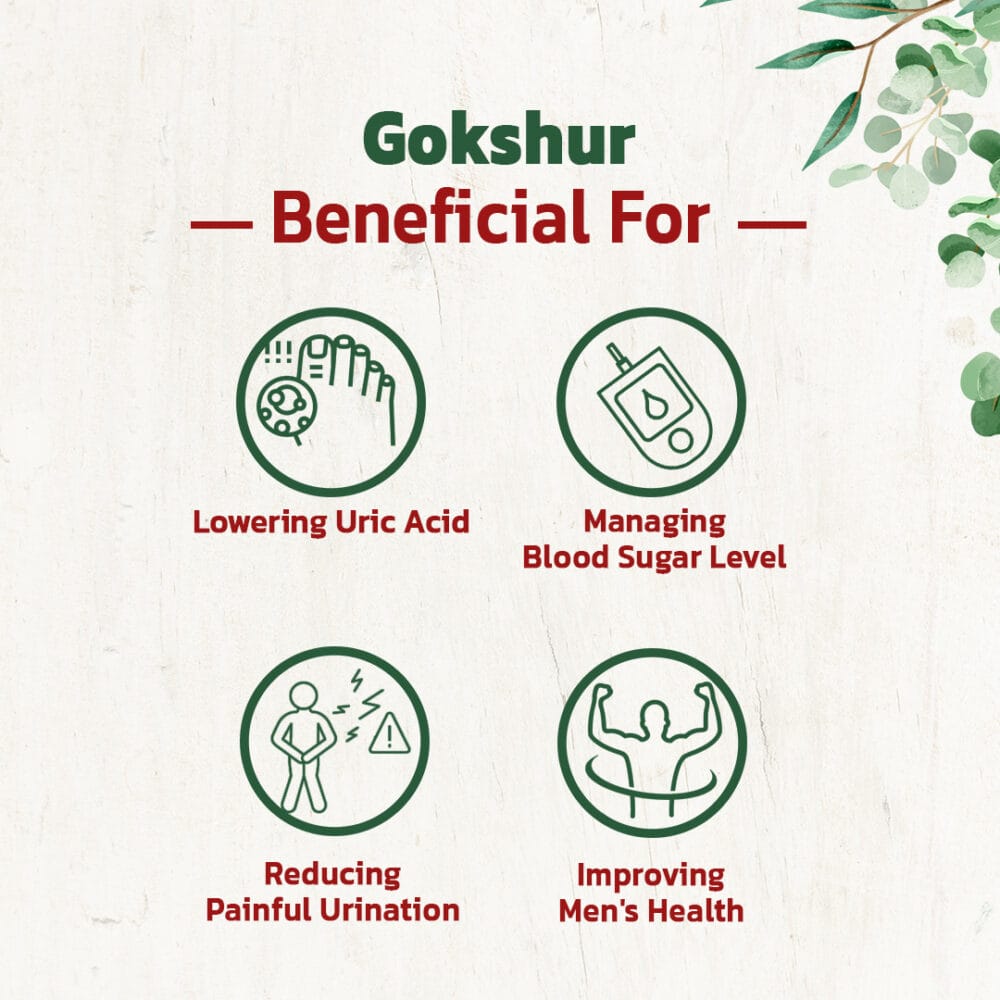 gokshura benefits