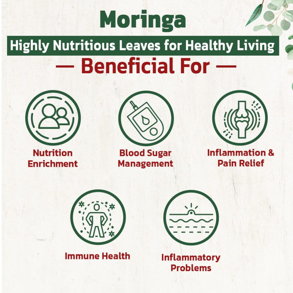 moringa ayurvedic medicine