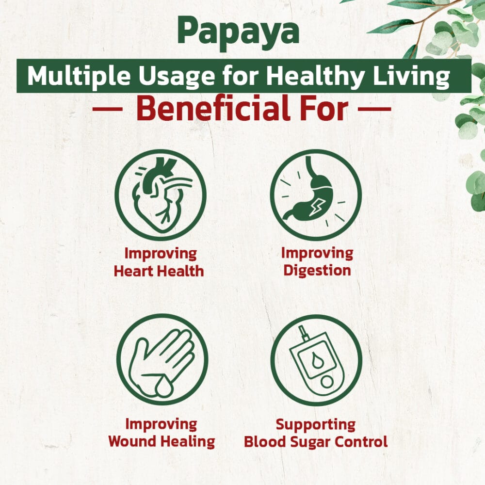 papaya leaf tablet