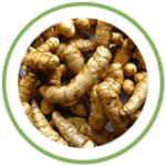 Amba Haldi Amba Haldi