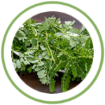 Bhuiamlaki Bhuiamlaki