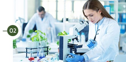 Customised Product 1