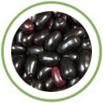 Jamun Jamun
