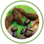 Krounchbeej Krounchbeej