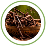 Manjishtha Manjishtha