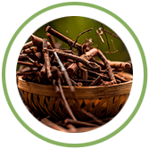 Manjishtha Manjishtha