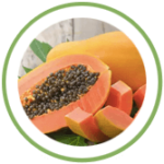 Papaya Papaya