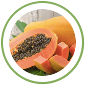 Papaya Papaya