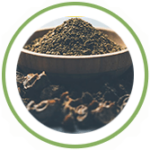 sitopaladi sitopaladi