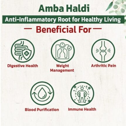 Amba Haldi products – amba haldi herb overview by Herbal Hills