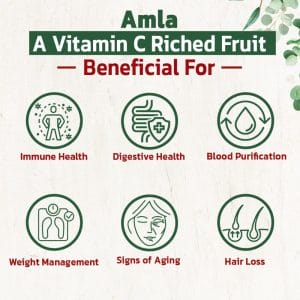 Amla 60 Tablet