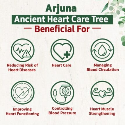 Arjuna 42 Arjuna products – Arjuna (Terminalia arjuna) herb overview