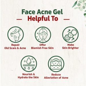 Face Acne Gel