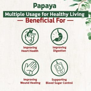 Papaya1