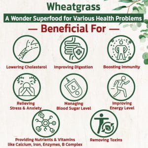 Wheatgrass 2