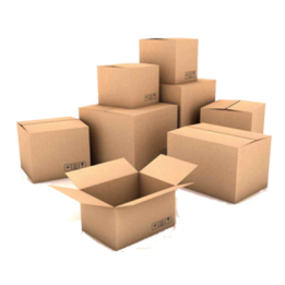 Finalise-Ship-the-Order-261x261-1 Finalise Ship the Order 261x261 1