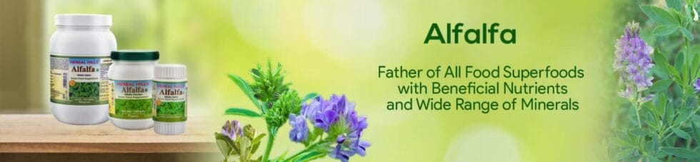 HH002 alfafla blog banner 1741 X 403 1 1536x356 1 980x227 1