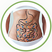 Healthy Digestion 2