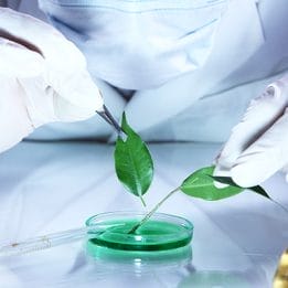 Share-Your-Own-Formula-261x261-1 Share Your Own Formula 261x261 1