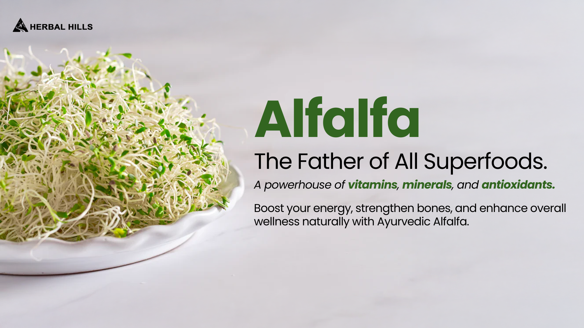 Alfalfa: Father of All Superfoods with Beneficial Nutrients and Wide Range of Minerals