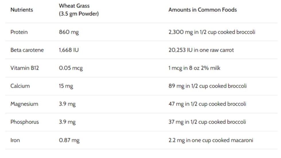 Untitled design 1 980x551 1