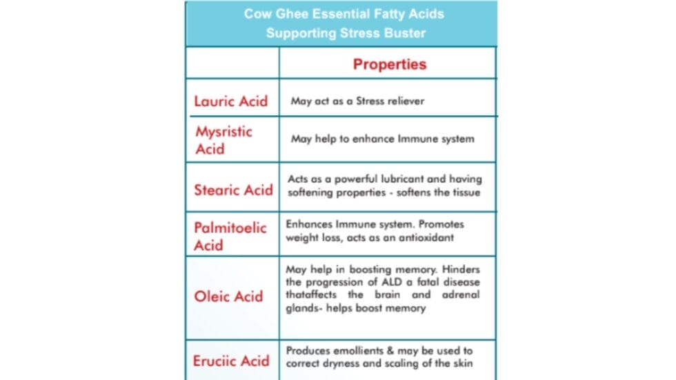 Untitled-design-2-980x551 Untitled design 2 980x551 1