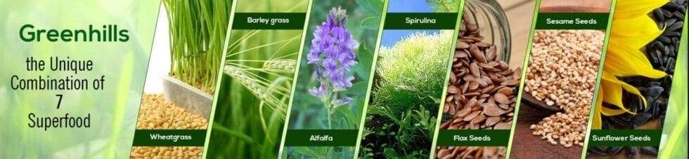 greenhills banner 2 1 1536x356 1 980x227 1