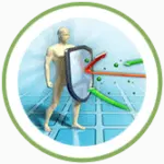 ayurvedic medicine for immunity booster