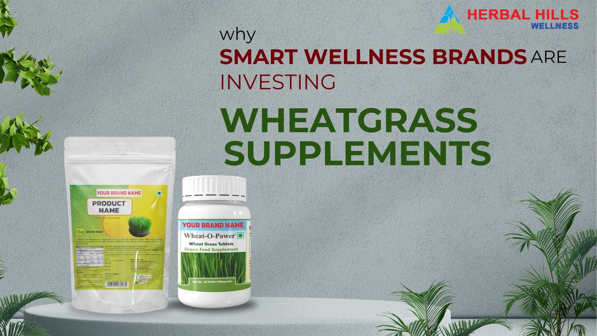 Supercharge Your Ayurvedic Business with Herbal Hills' Wheatgrass Supplements