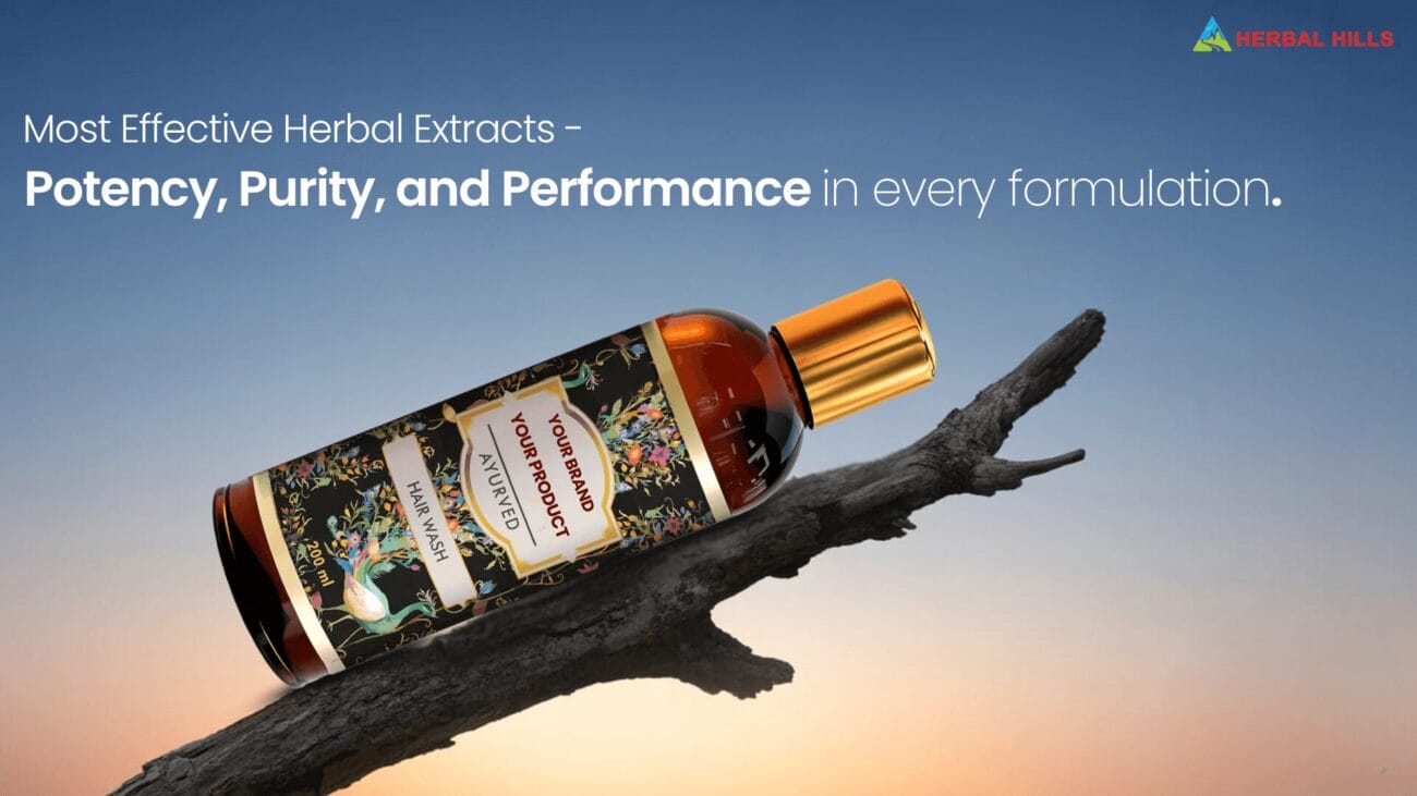 Best Herbal Extracts Used in Ayurvedic Products: A Manufacturer’s Perspective