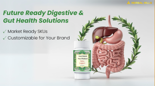 Digestion vs Detoxification – Why Ayurvedic Digestive Supplements Are the Future of Wellness