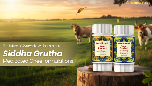 From Sacred Soil to Siddha Grutha: How Herbal Hills’ A2 Gir Cow Ghee Is Changing Ayurvedic Wellness