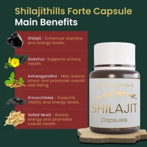 Shilajit Forte Capsule