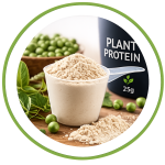 Plant Protein